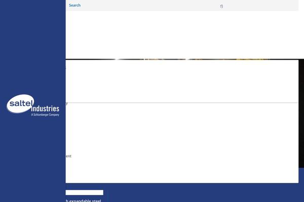 Site using TLP Team plugin