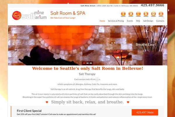Spacious Pro theme site design template sample