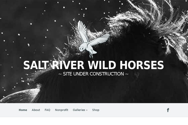 saltriverwildhorses.com site used Harmony