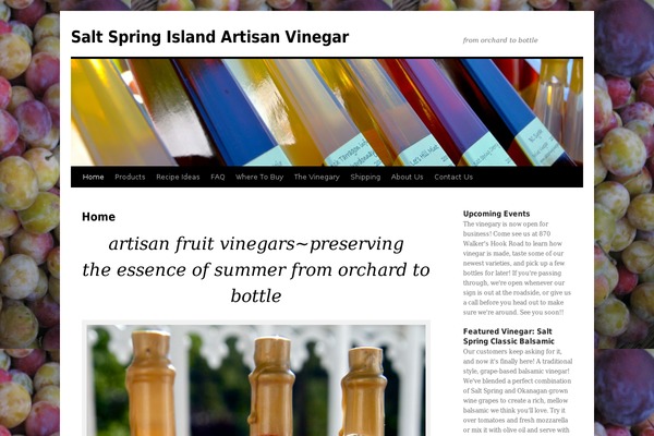 Twenty Ten theme site design template sample