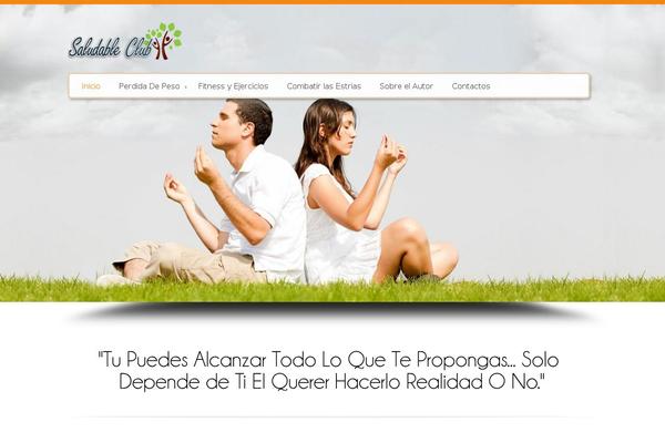 Site using Wp-custom-css plugin