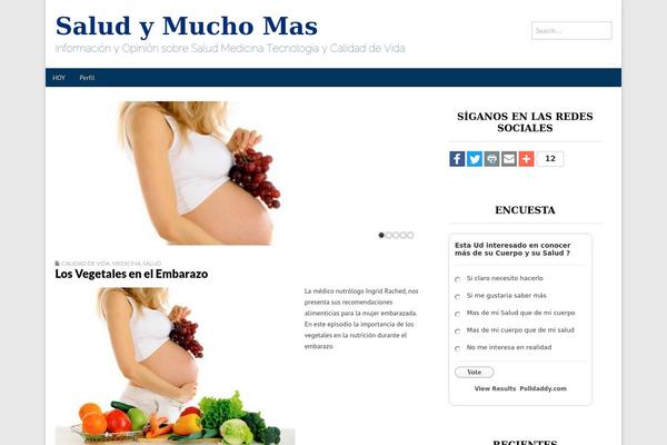 Magazine Premium theme site design template sample