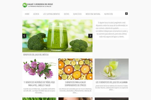 Studiomagres theme site design template sample