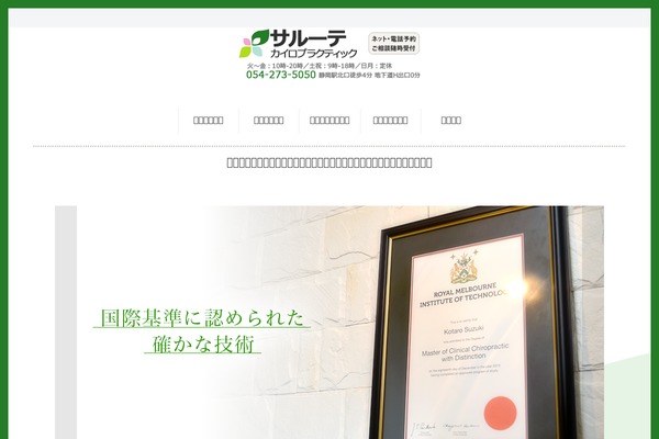 salute-chiro.com site used Echolake