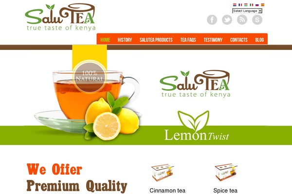 Site using Email newsletter plugin