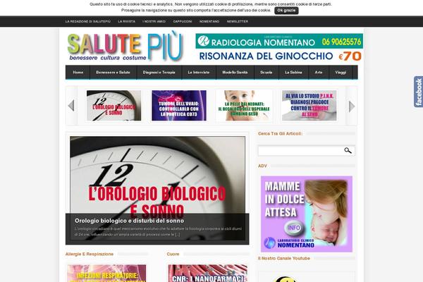 Site using YouTube information Widget plugin