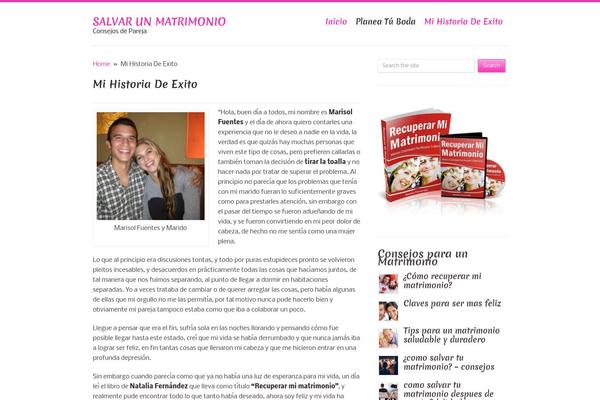 Pureview theme site design template sample