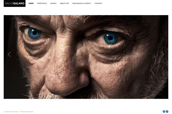 Artemis theme site design template sample