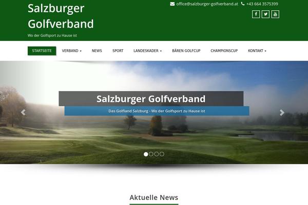 Enigma Premium theme site design template sample