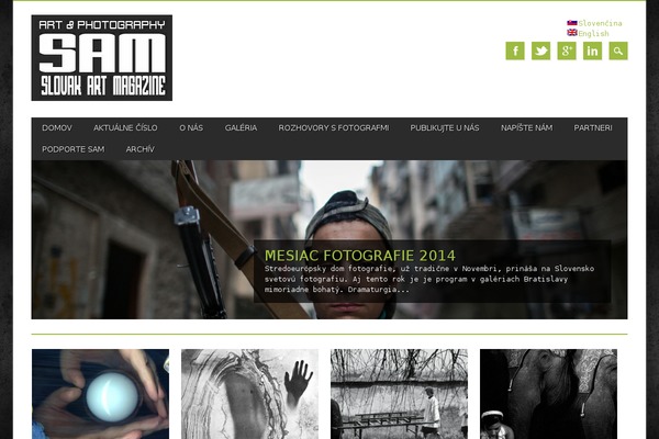 Magazino theme site design template sample