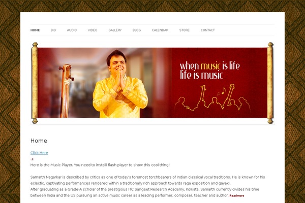Site using Flash MP3 Player plugin
