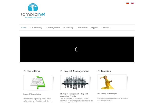 Site using Official Bitly for WordPress plugin