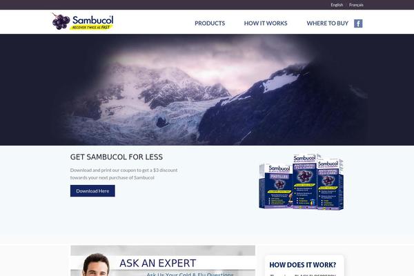 sambucol.ca site used Flatsome_2.1