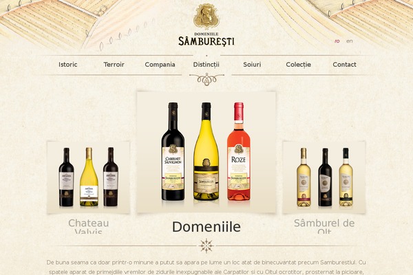 HTML5 Blank theme site design template sample
