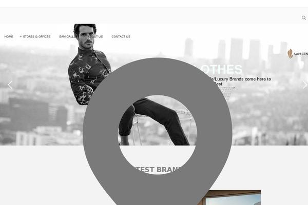Site using Elfsight-instashow plugin