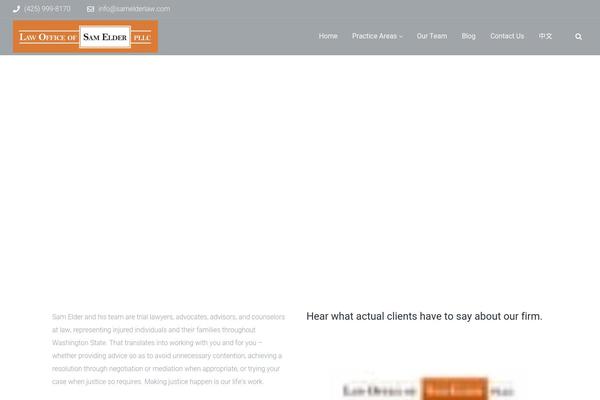 WizeLaw theme site design template sample