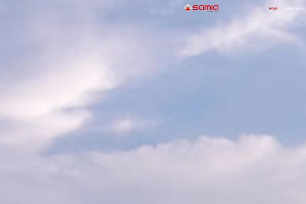 Site using Wp-whatsapp-chat plugin