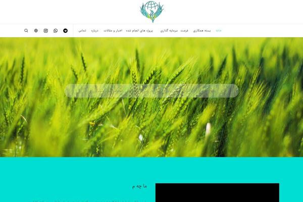 Movedo theme site design template sample