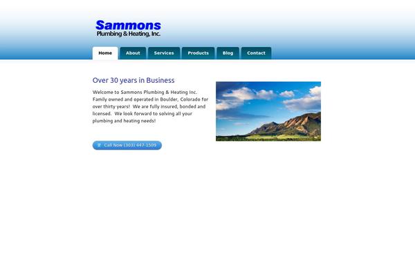 Feature Pitch theme site design template sample
