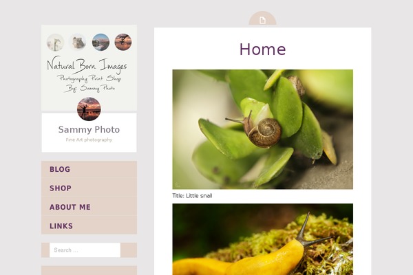 Fictive theme site design template sample