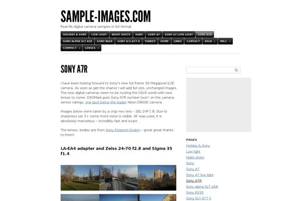 Site using Super Simple Contact Form plugin