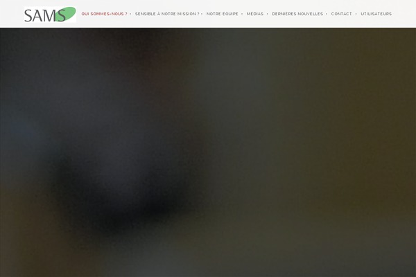 Brooklyn theme site design template sample