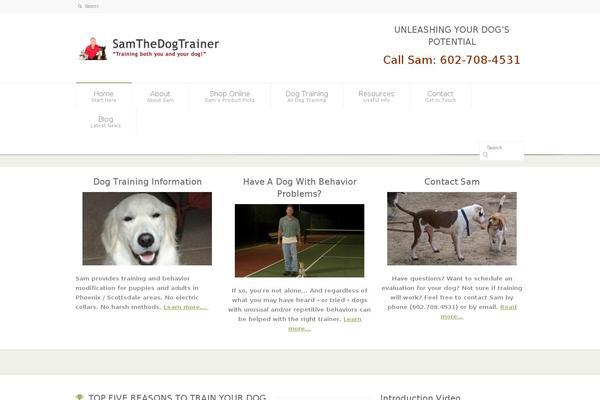 Hello-theme-child theme site design template sample