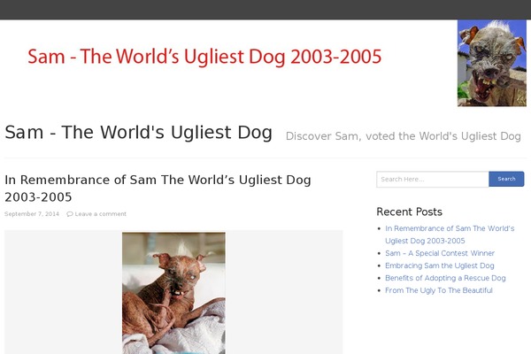 rtPanel theme site design template sample