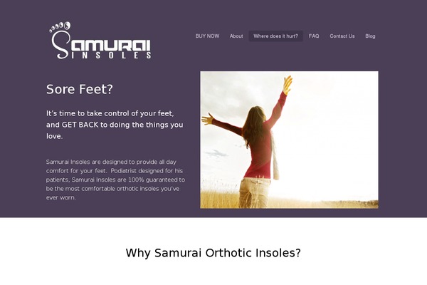 Appply theme site design template sample