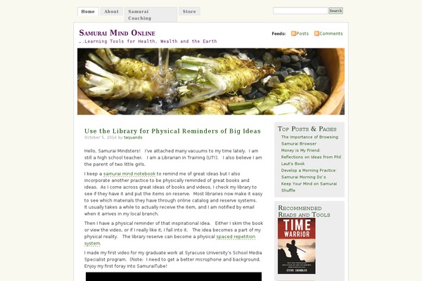 samuraimindonline.com site used Misty Look