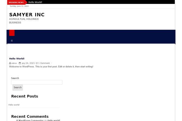 News Bulletin theme site design template sample