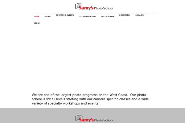 Skilled theme site design template sample