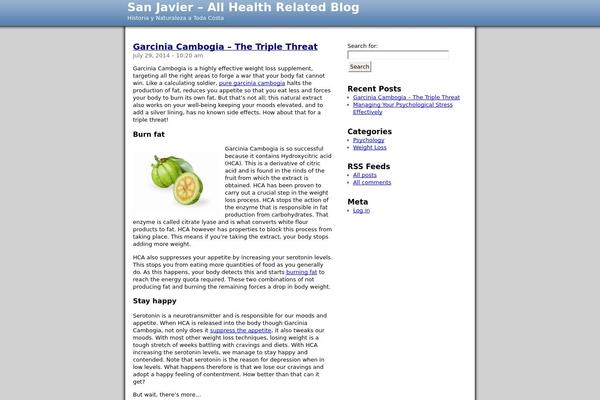 Small-business-seo theme site design template sample