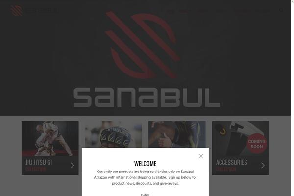 North theme site design template sample
