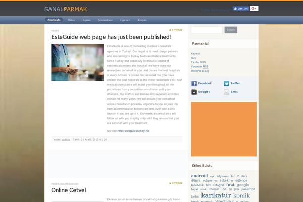 Techcompass theme site design template sample