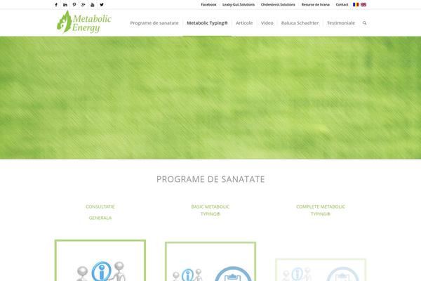 Site using Codecanyon-157782-video-gallery-wordpress-plugin-w-youtube-vimeo plugin