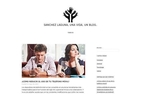 sanchezlaguna.es site used Concept Lite