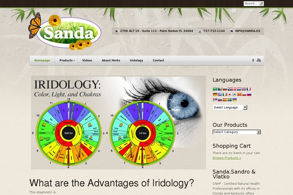 Cardamon theme site design template sample
