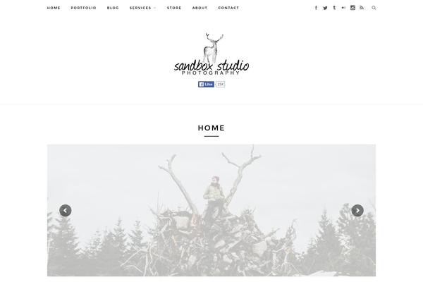 Site using Codecanyon-3618531-social-sprites-icons-widget plugin