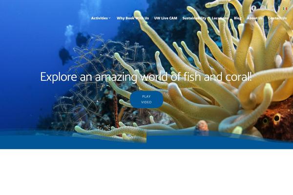 Site using Anythingslider-divi plugin