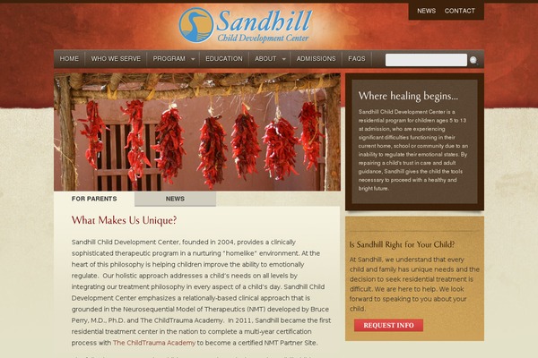 Light of Peace theme site design template sample