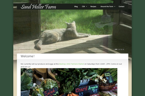 sandhollerfarm.com site used Amplus_v1.6