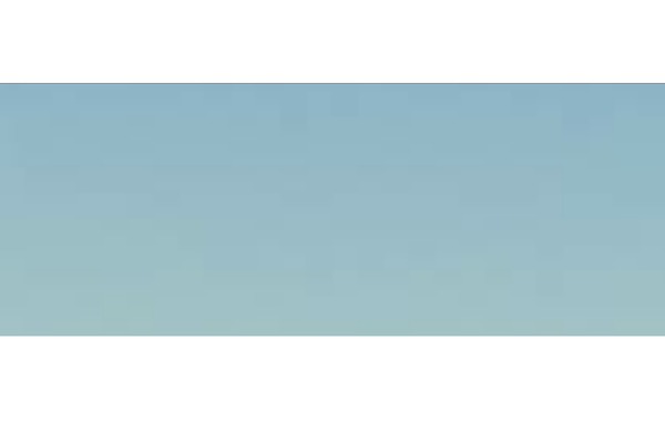 Capture theme site design template sample