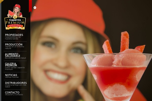 Pluto theme site design template sample
