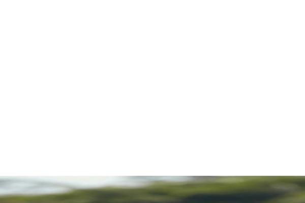 Site using Sg-cachepress plugin