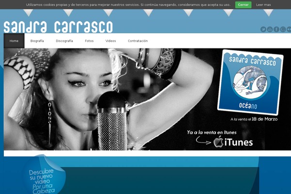 Acoustic theme site design template sample