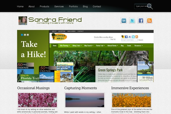 Boldy theme site design template sample