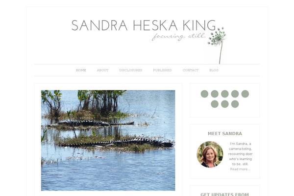 Lifestyle Pro theme site design template sample