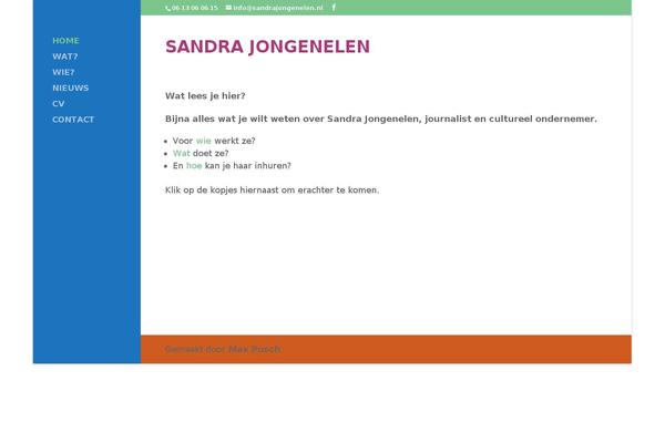 Divi theme site design template sample