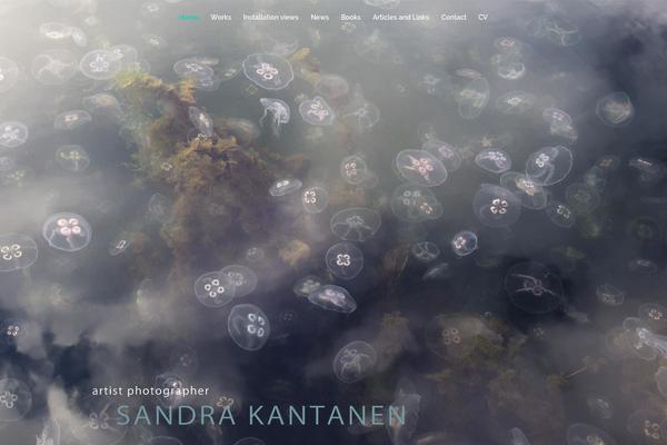 Site using Spotlight-social-photo-feeds plugin